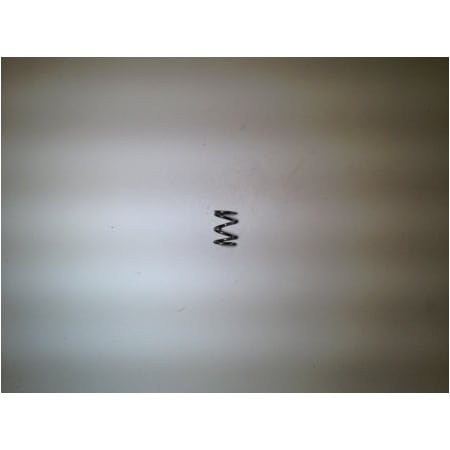 Kohler Spring, 25 089 02 25 089 02-S